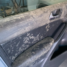 Professional-Mold-Removal-Detail-in-Fayetteville-Arkansas 5